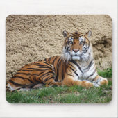 sumatran Tiger 7 Mousepad (Vorne)