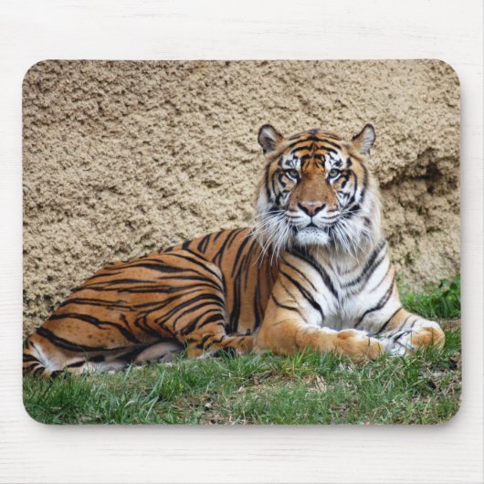 sumatran Tiger 7 Mousepad (Vorne)