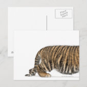 Sumatran Tiger cub 2 Postkarte (Vorne/Hinten)