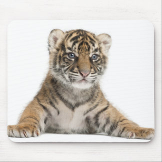 Sumatran Tiger cub Mousepad