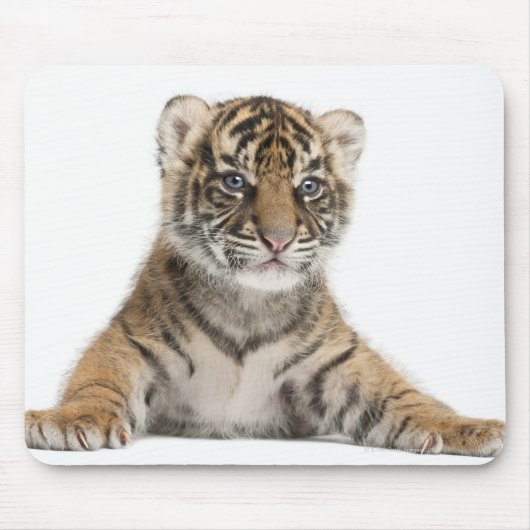 Sumatran Tiger cub Mousepad (Vorne)