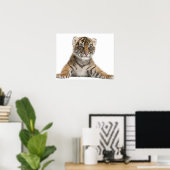 Sumatran Tiger cub Poster (Heimbüro)