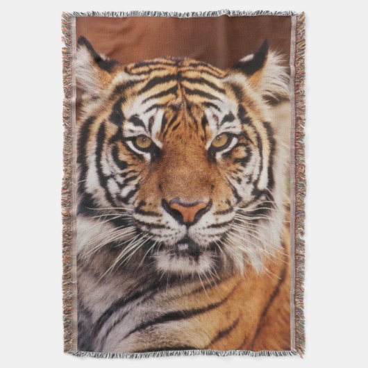 Sumatran Tiger Decke (Vorderseite Vertikal)