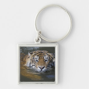 Sumatran Tiger, der Pantheratigris sumatrae Schlüsselanhänger