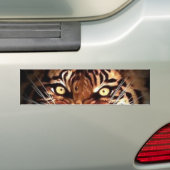Sumatran Tiger Eyes Car Autoaufkleber (Auf Auto)