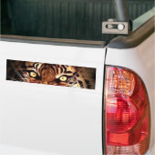 Sumatran Tiger Eyes Car Autoaufkleber (Auf Lkw)