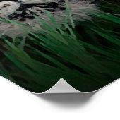 Sumatran Tiger Eyes Poster (Ecke)