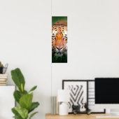Sumatran Tiger Eyes Poster (Heimbüro)
