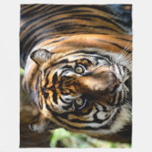 SUMATRAN TIGER FLEECEDECKE (Vorderseite)