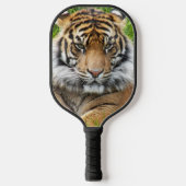 Sumatran Tiger Foto Pickleball Schläger (Vorderseite)