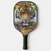 Sumatran Tiger Foto Pickleball Schläger (Rückseite)