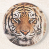 Sumatran Tiger Getränkeuntersetzer (Vorne)