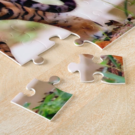 Sumatran Tiger. Große Katzen Puzzle (Seite)