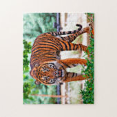 Sumatran Tiger. Große Katzen Puzzle (Vertikal)