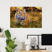Sumatran Tiger in Wassermalerei Poster (Heimbüro)