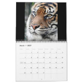 Sumatran Tiger Kalender (Mär 2027)