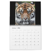 Sumatran Tiger Kalender (Jan 2026)