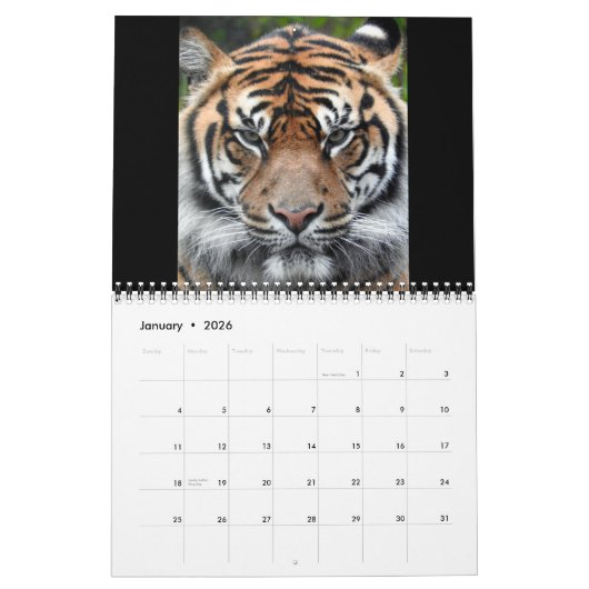 Sumatran Tiger Kalender (Jan 2026)