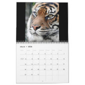 Sumatran Tiger Kalender (Mär 2026)