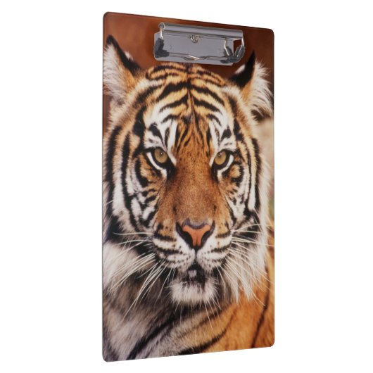 Sumatran Tiger Klemmbrett (Rechts)