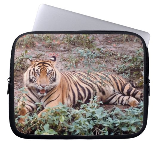 Sumatran Tiger Laptop Sleeve (Vorderseite)