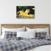 Sumatran-Tiger Leinwanddruck (Insitu (Schlafzimmer))