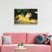Sumatran-Tiger Leinwanddruck (Insitu (Wohnzimmer))
