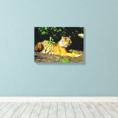 Sumatran-Tiger Leinwanddruck (Insitu (Holzboden))