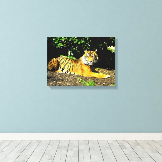 Sumatran-Tiger Leinwanddruck (Insitu (Holzboden))