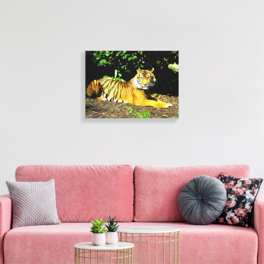 Sumatran-Tiger Leinwanddruck (Insitu (Wohnzimmer))