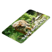 Sumatran Tiger Magnet (Linke Seite)