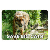 Sumatran Tiger Magnet (Horizontal)