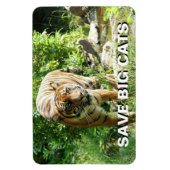 Sumatran Tiger Magnet (Vertikal)