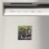 Sumatran Tiger Magnet (In Situ (Geschirrspüler))