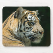 Sumatran Tiger Mousepad (Vorne)