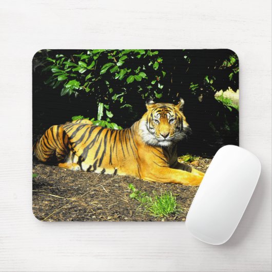 Sumatran-Tiger Mousepad (Mit Mouse)
