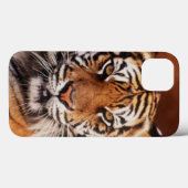 Sumatran Tiger, Panthera der Tigris Case-Mate iPhone Hülle (Rückseite (Horizontal))