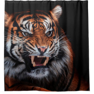 Sumatran tiger (Panthera tigris sumatrae) beautifu Duschvorhang