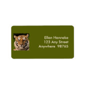 Sumatran Tiger Portrait Adressaufkleber (Vorne)