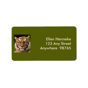 Sumatran Tiger Portrait Adressaufkleber