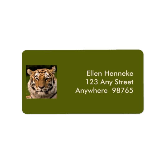 Sumatran Tiger Portrait Adressaufkleber (Vorne)