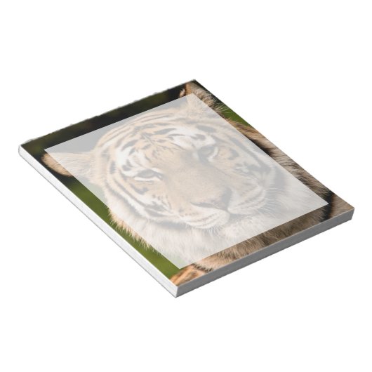 Sumatran Tiger Portrait Notizblock (angewinkelt)