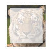 Sumatran Tiger Portrait Notizblock (Vorderseite)