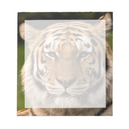 Sumatran Tiger Portrait Notizblock