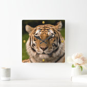 Sumatran Tiger Portrait Quadratische Wanduhr (Zuhause)