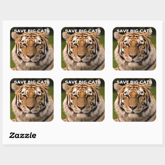 Sumatran Tiger Portrait Sticker (Blatt)