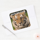 Sumatran Tiger Portrait Sticker (Umschlag)