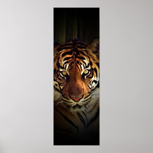 Sumatran Tiger Poster (Vorne)