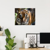 Sumatran Tiger Poster (Heimbüro)