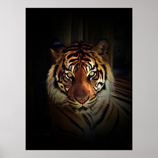 Sumatran Tiger Poster Print (Vorne)